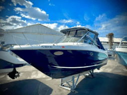 2006 Sea Ray 290 Amberjack | 31ft